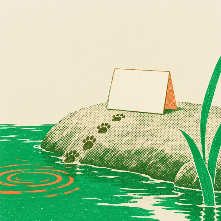 A small blank cream tent card stands on a flat stone at the river's edge, wet paw prints leading up to it and orange rings on the water where the otter slipped back in.